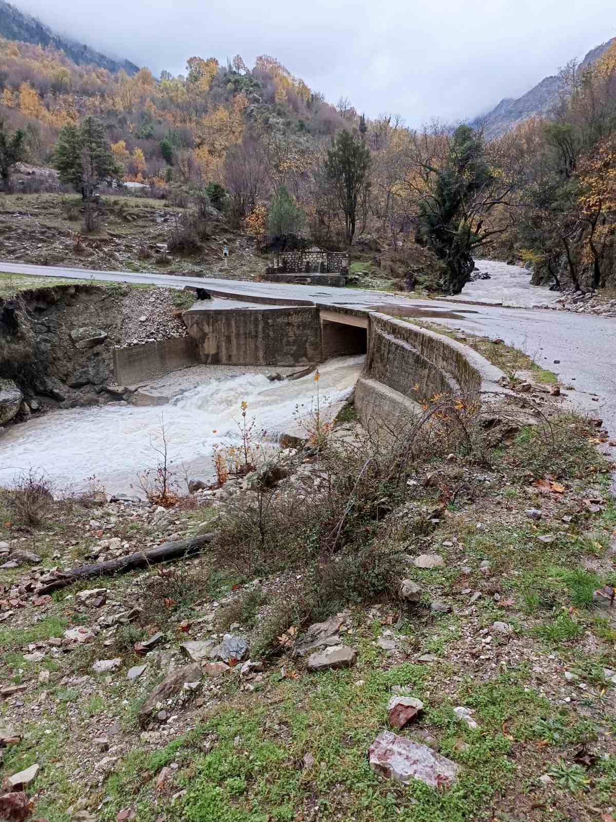 Γρεβενίτης (γέφυρα)